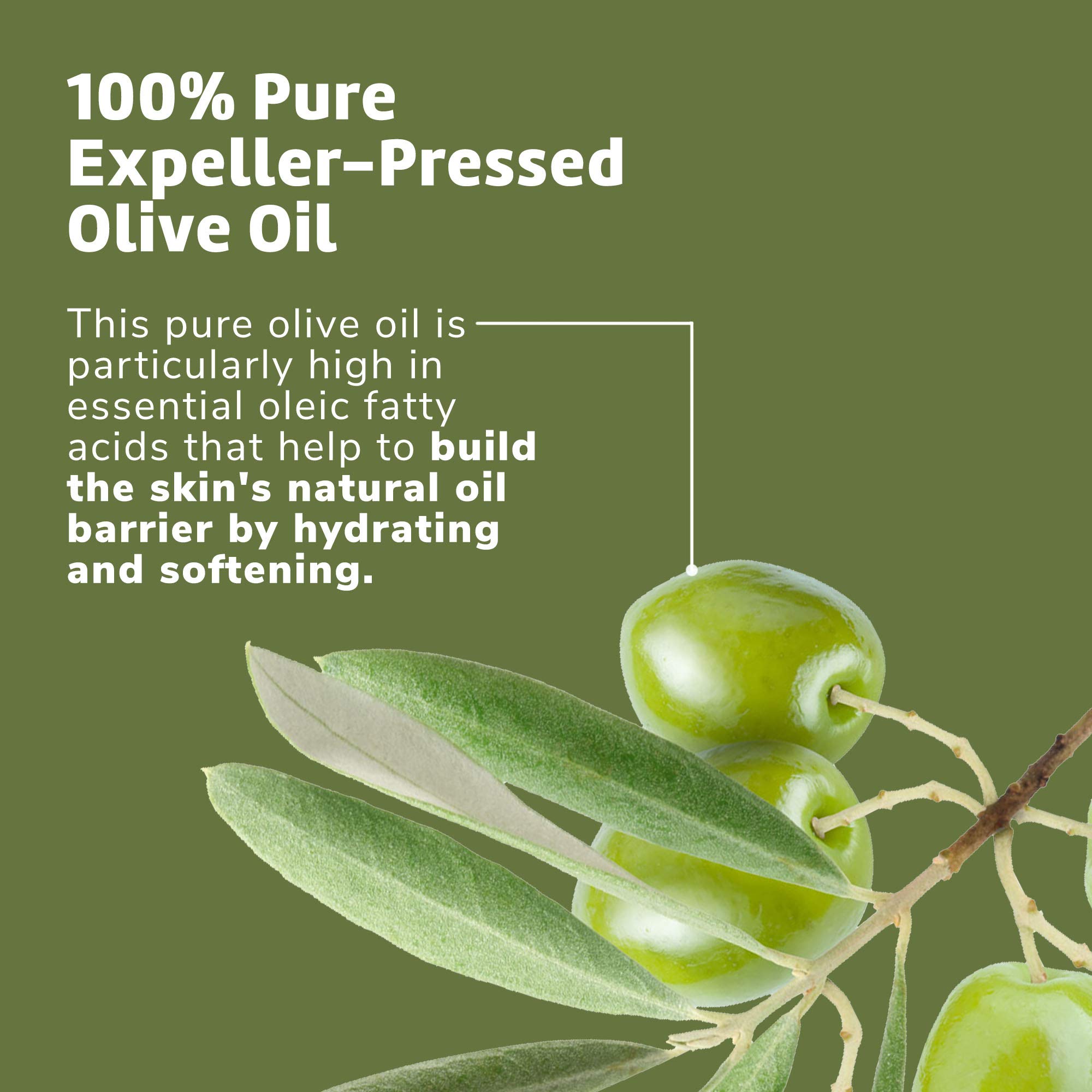 De La Cruz 100% Pure Olive Oil Expeller Pressed for Hair and Skin Lightweight Hair Oil and Moisturizer for Dry Skin and Beauty 2 Fl Oz (12 Bottles) - Image 5